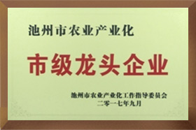 市級(jí)龍頭企業(yè)