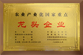 農(nóng)業(yè)產(chǎn)業(yè)化國家重點(diǎn)龍頭企業(yè)