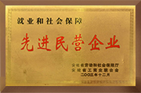 先進(jìn)民營企業(yè)