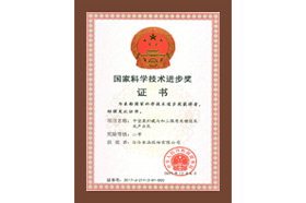 國家科學(xué)技術(shù)進(jìn)步獎(jiǎng)